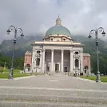 La Magnolia 2.0 *